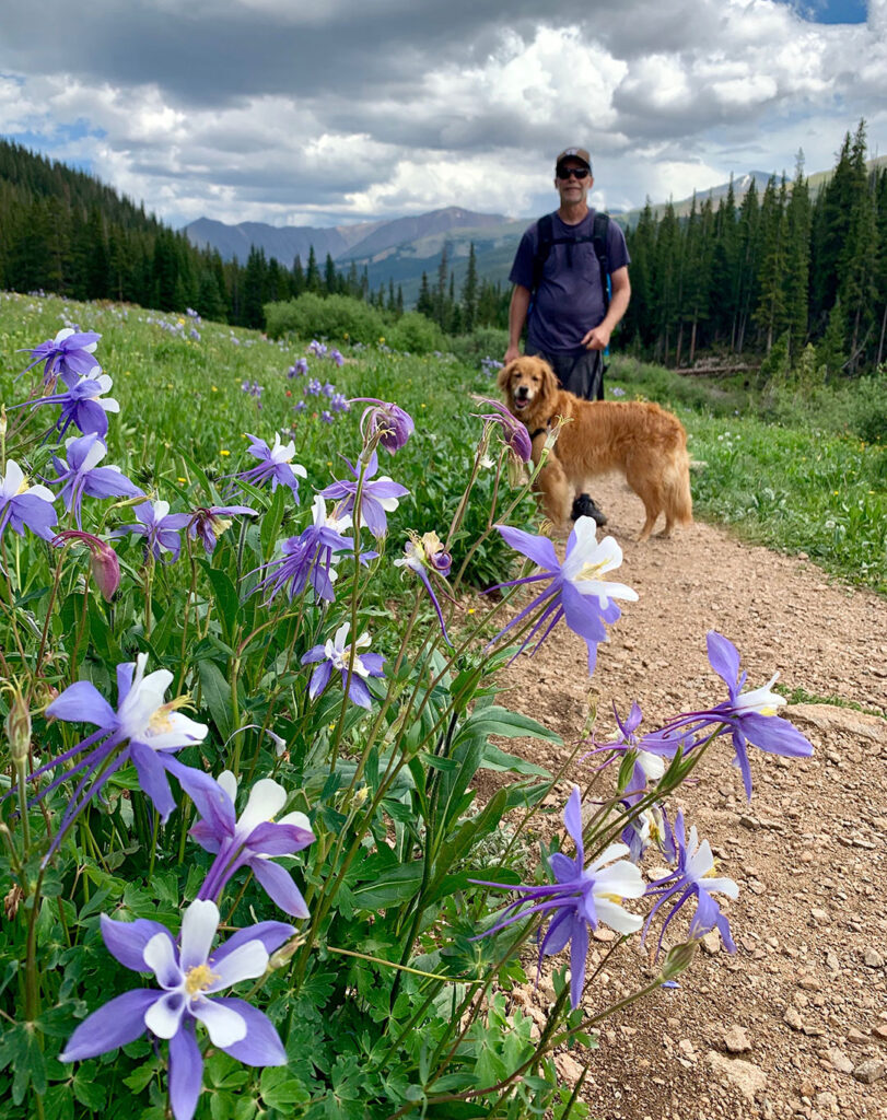 Man and dog posing by Columbine flowers on dog-friendly Herman Gulch trail