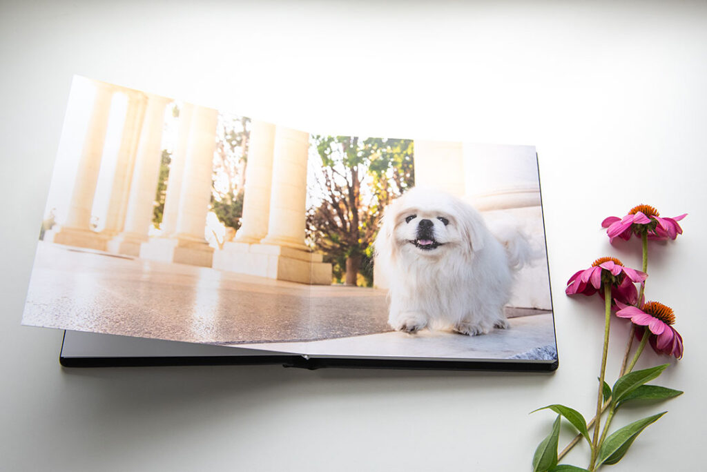 Dog photo album spread