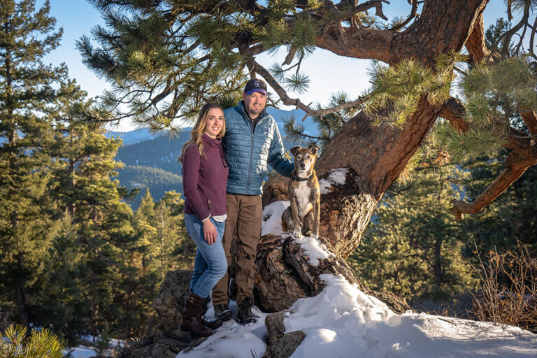 Winter dog portrait with brindle dog and ancient pine tree