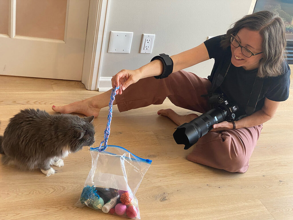 Photographer playing with cat at an older senior cat photoshoot