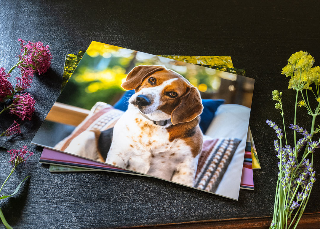 8x10 prints mounted on Styrene