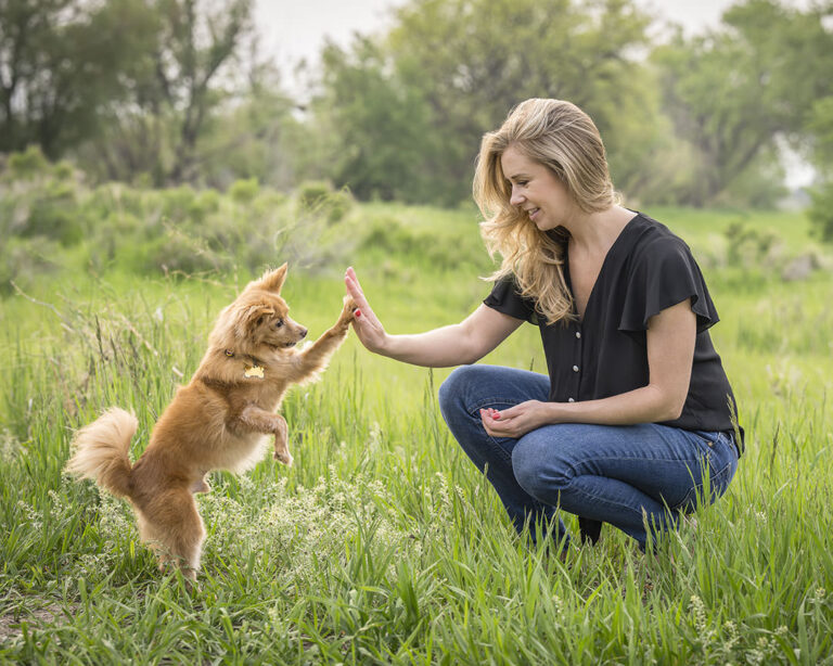 Dog and owner doing high-five during photoshoot. Chihuahua dog and woman are in a green meadow
