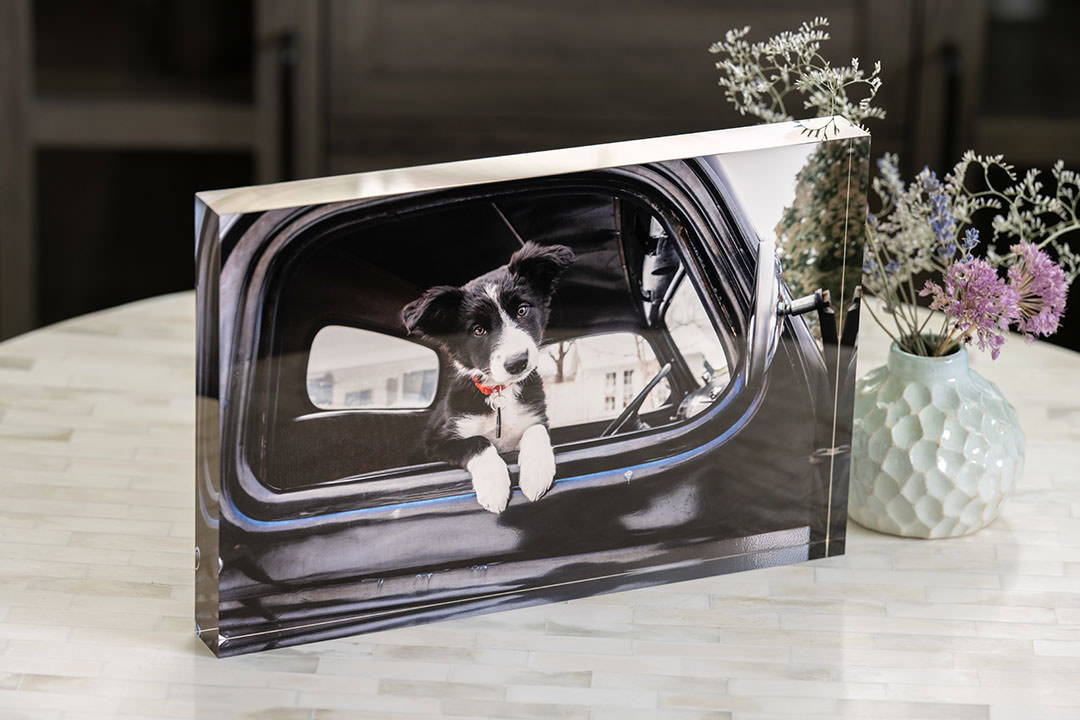 Acrylic block with photo of border collie puppy in vintage truck