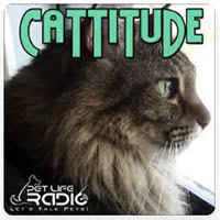 Screenshot Cattitude Podcast logo
