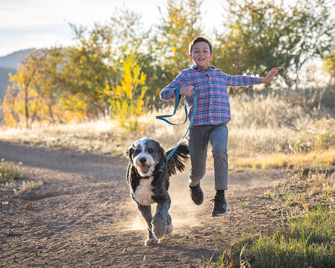 Boy running with Bernedoodle dog on leash during photoshoot iat Bear Creek Lake Park in Lakewood, CO during dog photoshoot with family