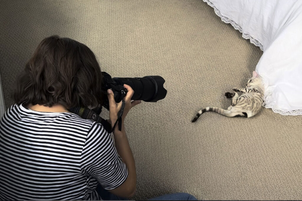 Behind the scenes of photographer taking photo of bengal kitten by bed