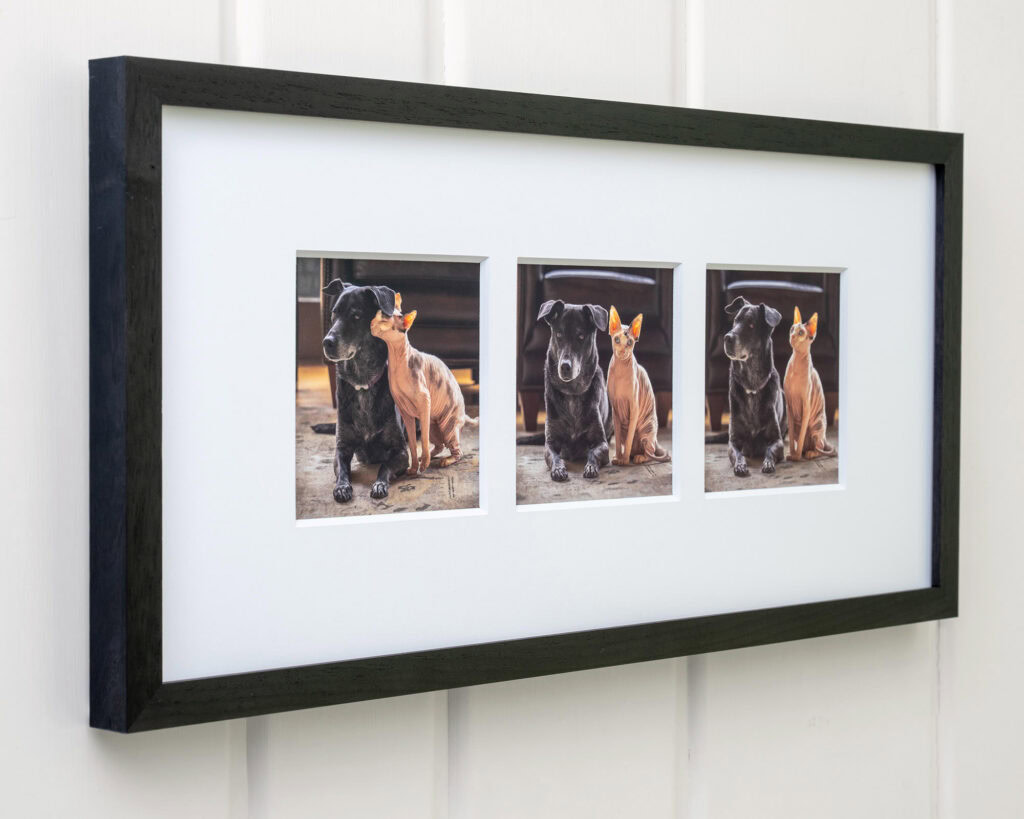 Framed series of photos in a black walnut frame